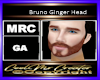 Bruno Ginger Head