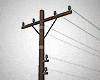 Poles & Wires