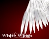 *D* White Wings