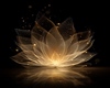 Background flower