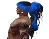blue black  ponytail