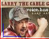 [Larry The Cable Guy VB]