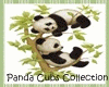 Panda Cubs Triplets Sofa