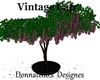 vintage wistrea tree