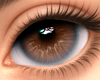 Lunar Brown Eyes