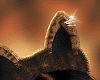 Leopard Ear V2