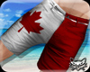 ! Canada Flag Trunks