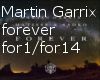 Martin garrix forever