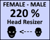 Head Scaler 220%