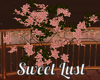 Sweet Lust Ivy for Fence