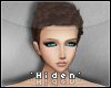 H| Charles Brown Hair