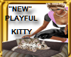 KITTY-PLAYFUL/POSES-NEW