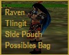 NativeAmericanRavenBag