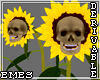 Skull Sunflowers