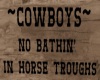Cowboys Wallhanging