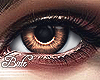 B! Brown Eye