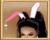 ✘ Love Bunny Ears