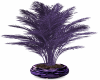 Purple Plant 1