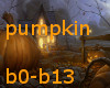 14 pumpkin BG's