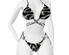 bickiny  zebra