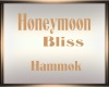 Honeymoon Bliss Hammok