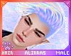 🌸; Holo Hair