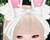 ♡ Bunny Ears
