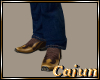 Cowboy Boots/Brown/Gold