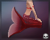 [T69Q] Mermaid Tail Red