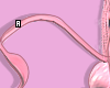 AnySkin Alien Tail