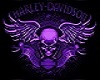 Harley Davidison Purple 