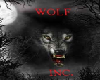 Wolf Inc