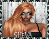 Sheva*Copper 10
