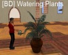 [BD] Watering Plants