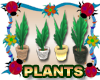 Pot Plant Border