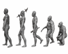 Statues- human evolution