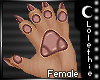 Chloe l Hand Paws