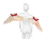 𐙚Erosa Wings