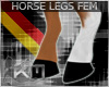 +KM+ Horse Legs FEM