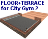 !@ Floor for city gym 2