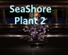 [BD]SeaShorePlant2