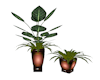 Plush Plants in Pot