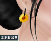lPl Sunflower Black |F