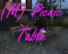 (M) Picnic Table