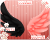 [Pets] Madde | wings v3