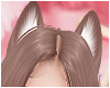 Wolf ears moka