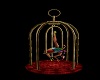 BURLESQUE CAGE