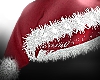 ✦ Xmas Hat