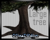 (OD) Large tree