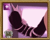 Cute Tail Cat Furry Anim